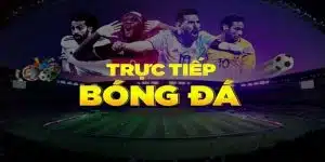 trực tiếp bóng đá hd